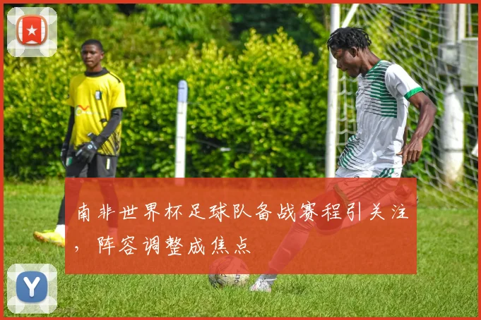 南非世界杯足球队备战赛程引关注，阵容调整成焦点